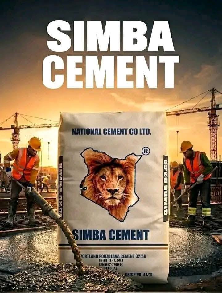 Construction workers using Simba Cement on site